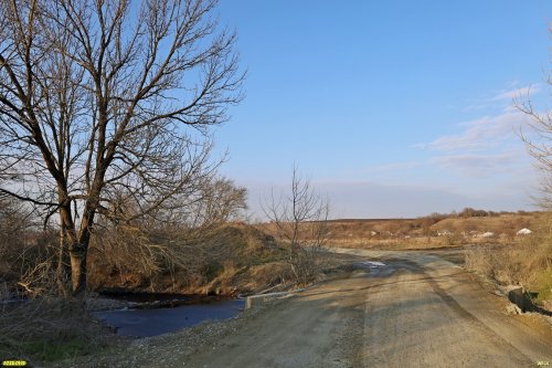 Перспективная ООПТ Подгорный лес