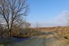 Перспективная ООПТ Подгорный лес