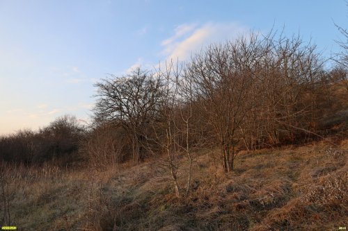 Перспективная ООПТ Подгорная балка