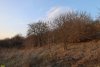 Перспективная ООПТ Подгорная балка
