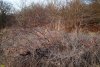 Перспективная ООПТ Подгорная балка