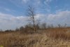 Перспективная ООПТ Сухой Келермес