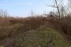 Перспективная зелёная зона в г.Белореченск (7)