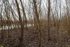 Перспективная зелёная зона в г.Белореченск (7)