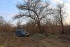 Перспективная зелёная зона в г.Белореченск (3)