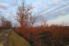 Перспективная зелёная зона в г.Белореченск (3)