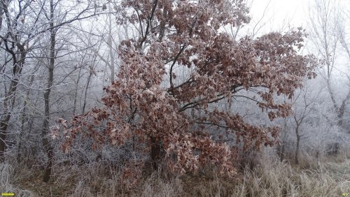 Перспективная ООПТ Долина Балки Круглик