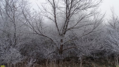 Перспективная ООПТ Долина Балки Круглик