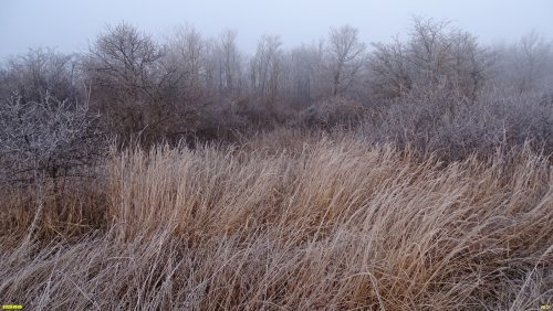 Перспективная ООПТ Долина Балки Круглик