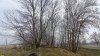 Перспективная зелёная зона в посёлке МТФ (2)
