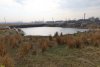 Перспективная зелёная зона в посёлке МТФ (1)