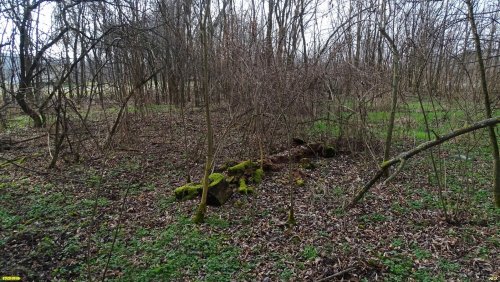 Перспективная зелёная зона в посёлке Степной (5)