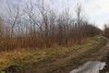 Перспективная зелёная зона в посёлке Степной (4)