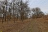 Перспективная ООПТ Паровой лес