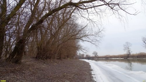 Перспективная зелёная зона в станице Гривенской (3)