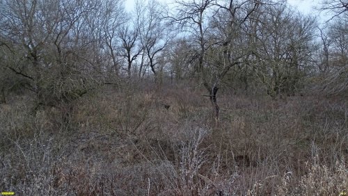 Перспективная ООПТ Гривенское Колено