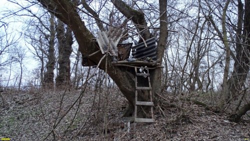 Перспективная ООПТ Гривенское Колено
