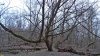 Перспективная ООПТ Гривенское Колено