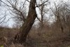 Перспективная ООПТ Гривенское Колено