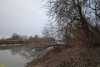Перспективная ООПТ Гривенское Колено расположена в излучине реки Протока