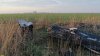 Всё, что осталось от бывшего Окололебединского леса
