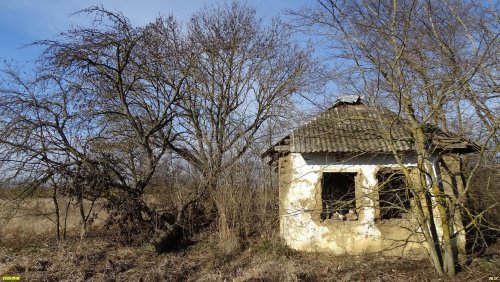 Перспективная зелёная зона в станице Новониколаевской (1) 