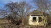 Перспективная зелёная зона в станице Новониколаевской (1) 