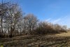 Перспективная зелёная зона в станице Новониколаевской (3) 