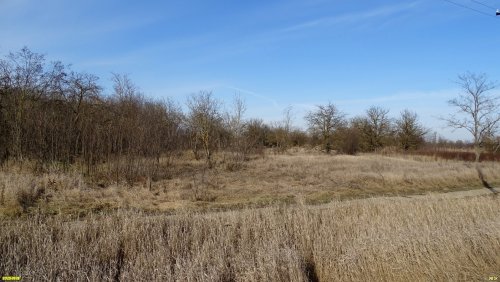 Перспективная зелёная зона в станице Новониколаевской (4) 