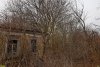 Перспективная зелёная зона в станице Гривенской (4) 