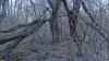 Перспективная зелёная зона в хуторе Ленинский (7)