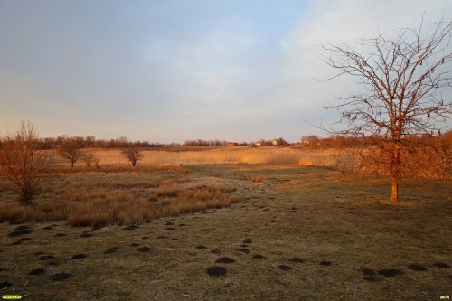 Перспективная зелёная зона в хуторе Ленинский (дополнительная)