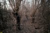Перспективная зелёная зона в хуторе Ленинский (10)