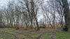 Перспективная ООПТ Казачий лес (расширение)