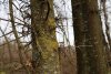 Перспективная зелёная зона в станице Медвёдовской (8) 