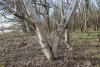 Перспективная ООПТ Семидворский кут