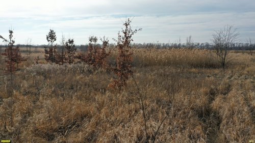 Перспективная ООПТ Медвёдовская падина