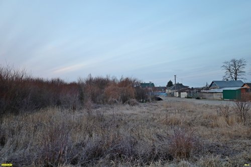 Перспективная ООПТ Старомышастовский лесопарк