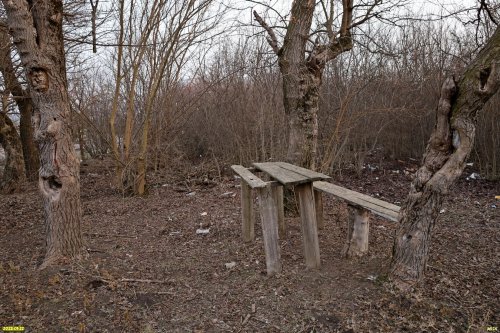 Перспективная ООПТ Старомышастовский лесопарк