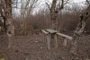 Перспективная ООПТ Старомышастовский лесопарк