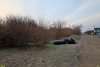 Перспективная ООПТ Старомышастовский лесопарк
