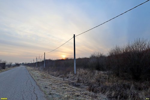 Перспективная ООПТ Старомышастовский лесопарк