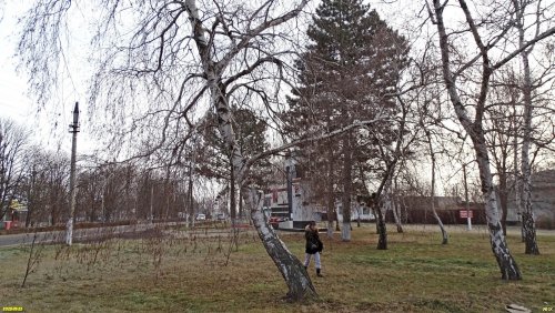 Перспективная зелёная зона в станице Старомышастовской (1)