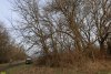 Перспективная ООПТ Медвёдовские курганы