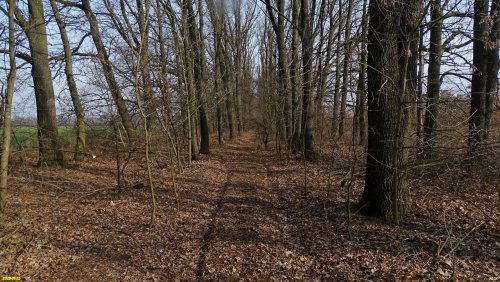 Перспективная ООПТ (дополнительная-1) Дубовая лесостепь