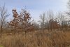 Перспективная ООПТ (дополнительная-1) Дубовая лесостепь
