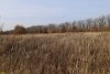 Перспективная ООПТ (дополнительная-1) Дубовая лесостепь