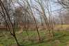 Перспективная ООПТ (дополнительная-2) Лесостепь в истоках Гречаной балки