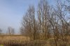 Перспективная ООПТ (дополнительная-2) Лесостепь в истоках Гречаной балки