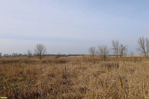 Перспективная ООПТ (дополнительная-2) Лесостепь в истоках Гречаной балки